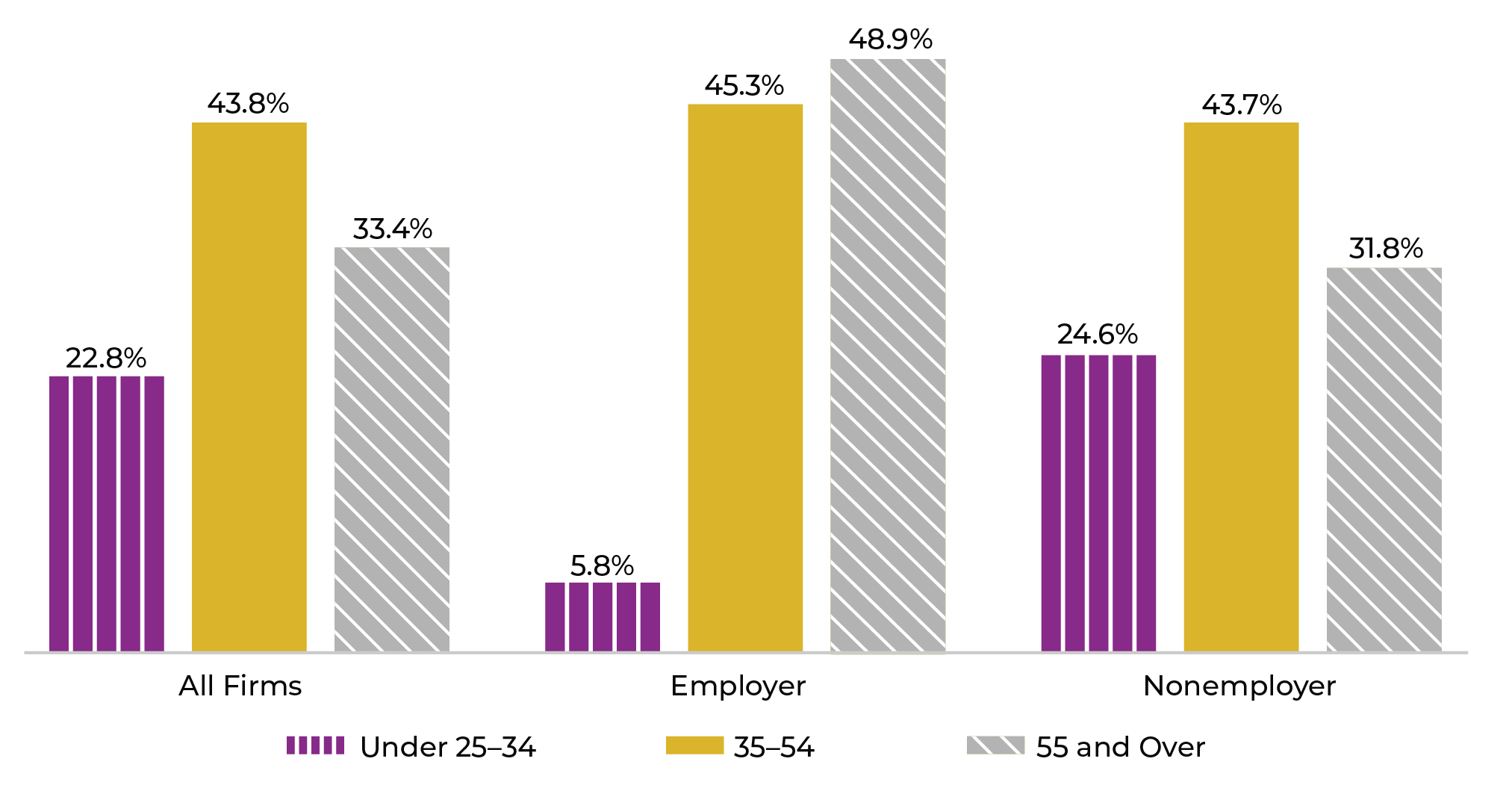 Figure 5. Women Business Ownership by Age and Firm Type